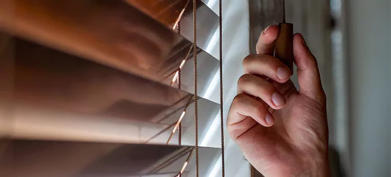 Double Roller Blinds in Belle Glade, FL