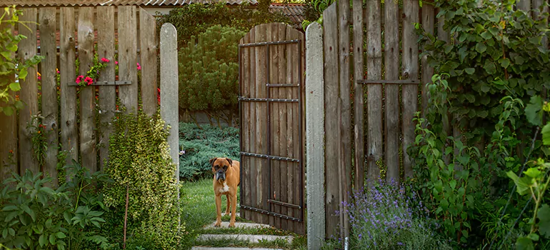 Winter Garden Garage Door Repair in Belle Glade,[location field=state]