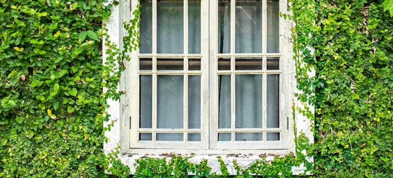 Garden Window Repair Near Me in Belle Glade, FL