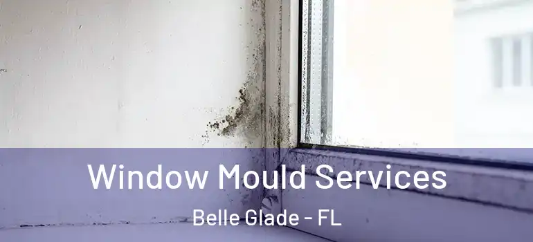 Window Mould Services Belle Glade - FL